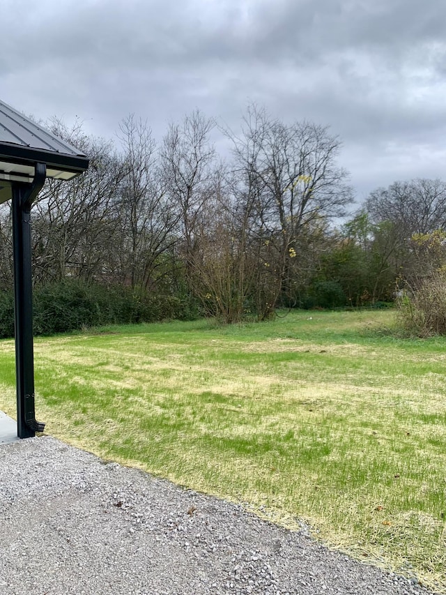 220 College St, Lewisburg, KY 42256 - photo 8