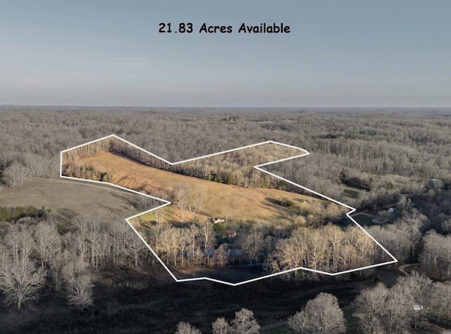 birds eye view of property featuring a rural view