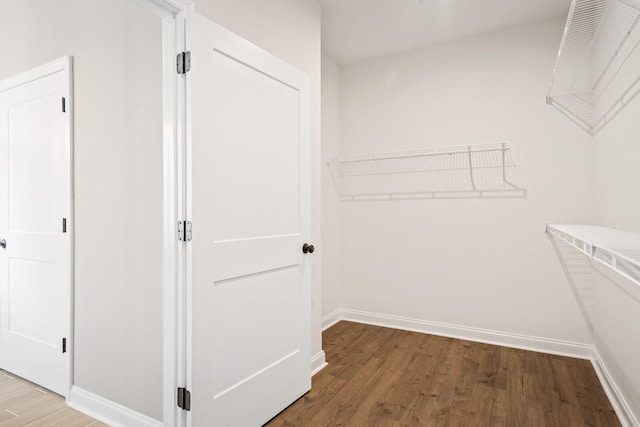 walk in closet with wood-type flooring