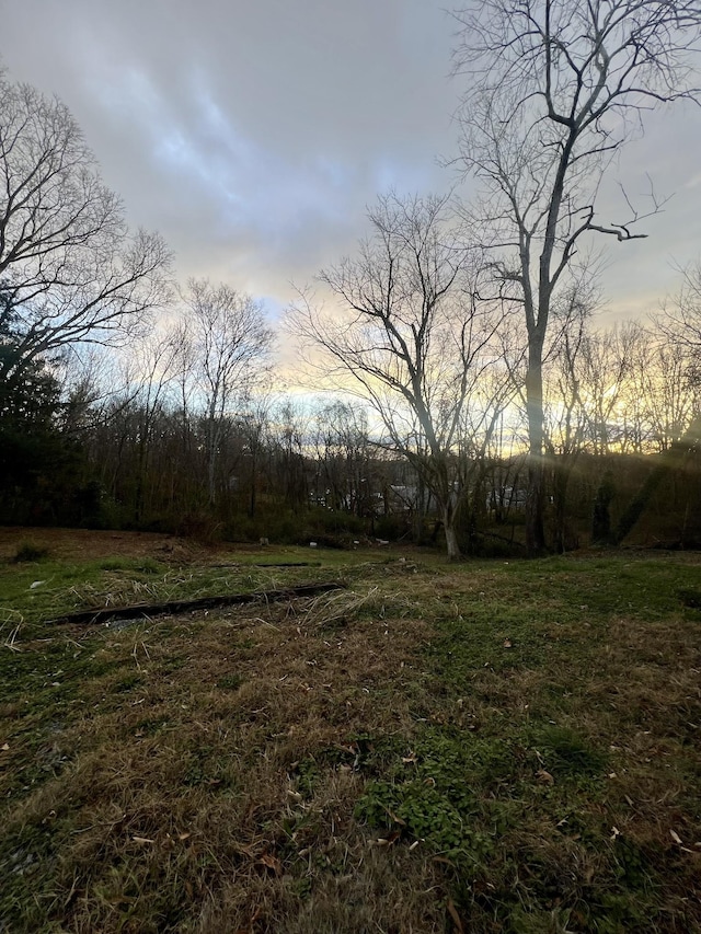 view of yard at dusk