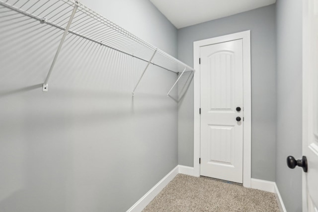 spacious closet with light carpet