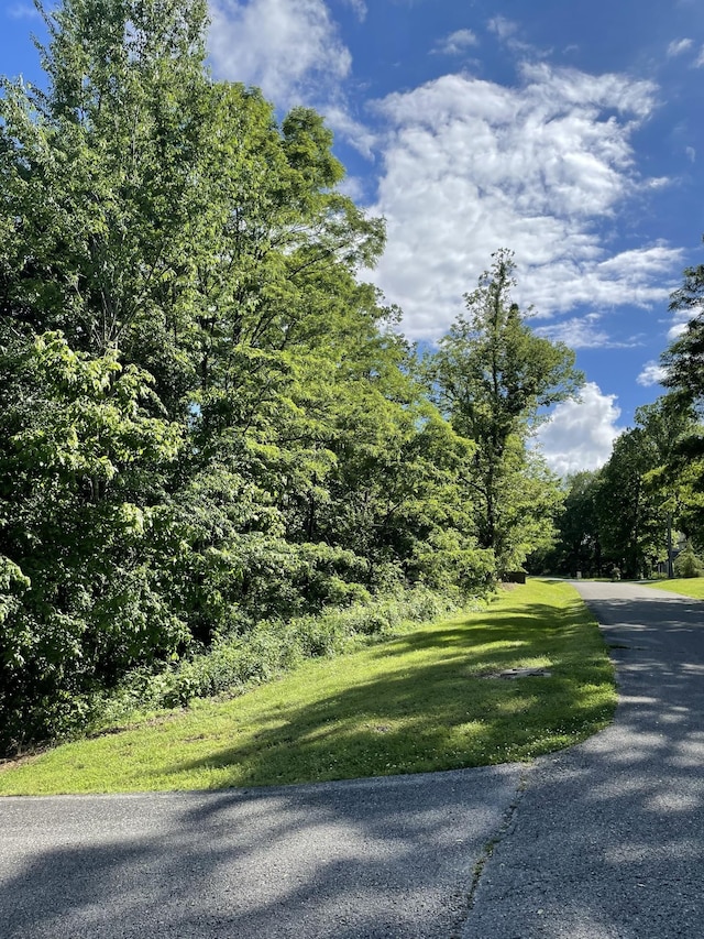 149 Rutherford Ln, Smithville TN, 37166 land for sale