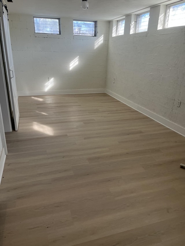 basement featuring light hardwood / wood-style floors