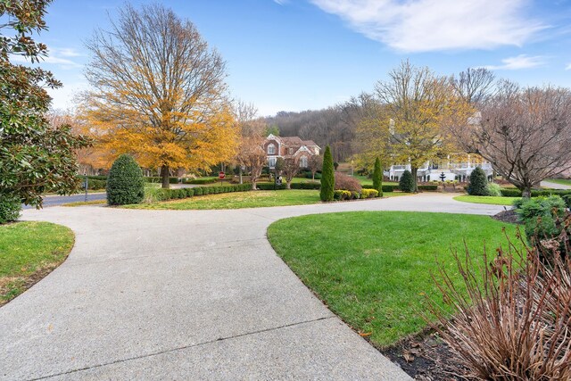 401 Tramore Ct, Franklin, TN 37067 - photo 6