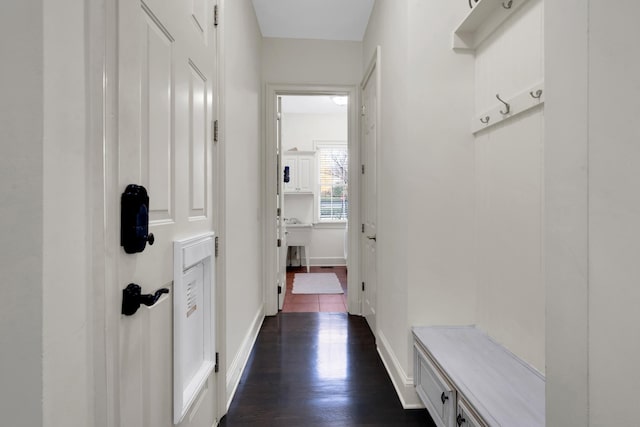 mudroom featuring dark hardwood / wood-style flooring