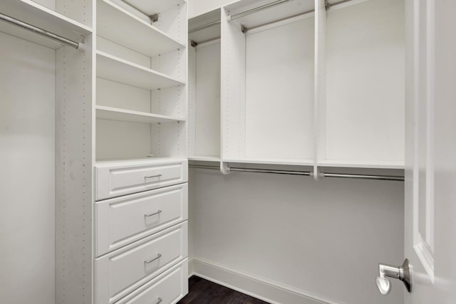 spacious closet with dark hardwood / wood-style flooring