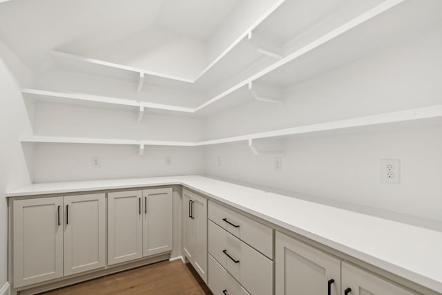 517 Matthew Miller Dr, Smyrna, TN 37167 - view of pantry