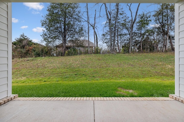 517 Matthew Miller Dr, Smyrna, TN 37167 - view of yard
