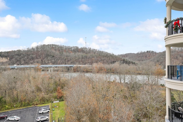 water view featuring a mountain view