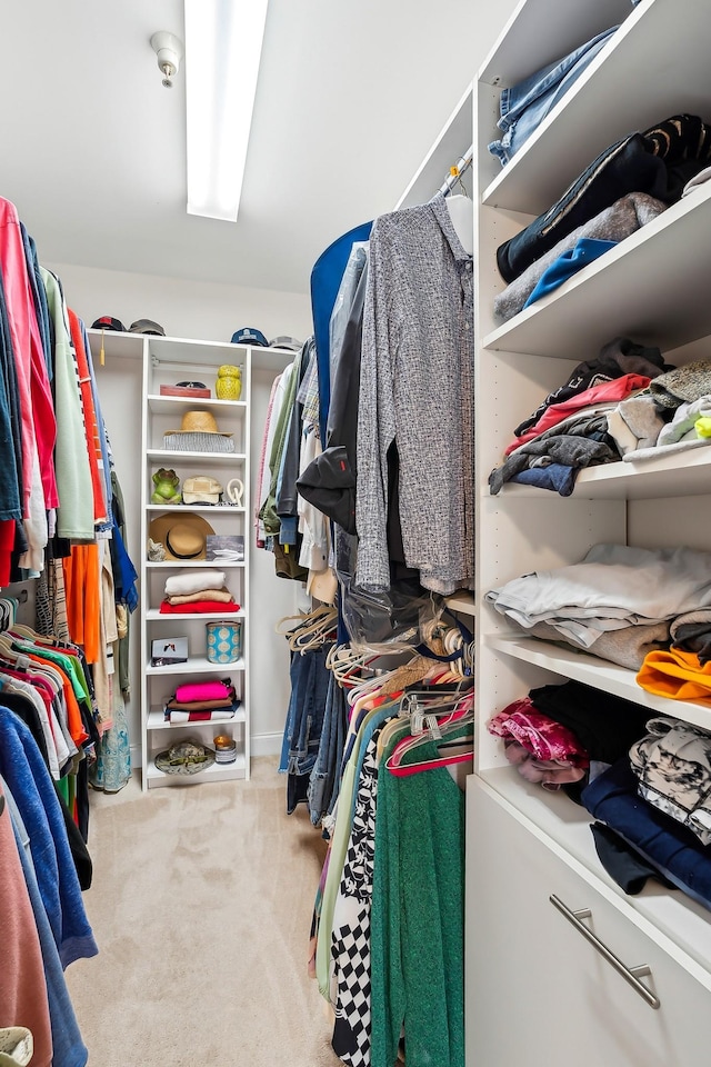 spacious closet with light colored carpet