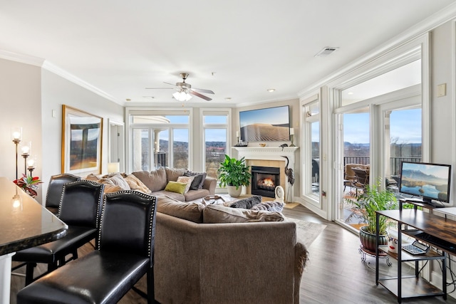 living room with dark wood-type flooring, plenty of natural light, ornamental molding, and ceiling fan