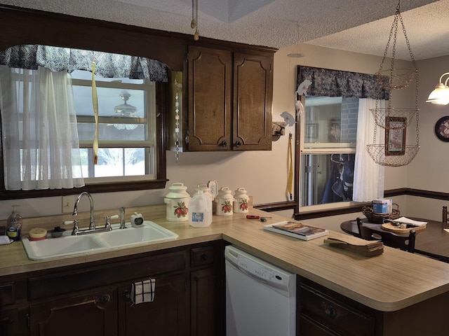 kitchen with sink, hanging light fixtures, white dishwasher, a textured ceiling, and dark brown cabinets