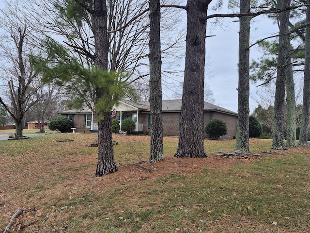 view of home's exterior with a yard