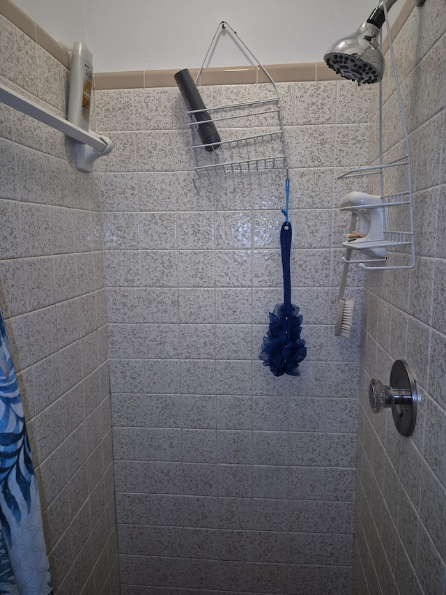 bathroom with a shower with curtain