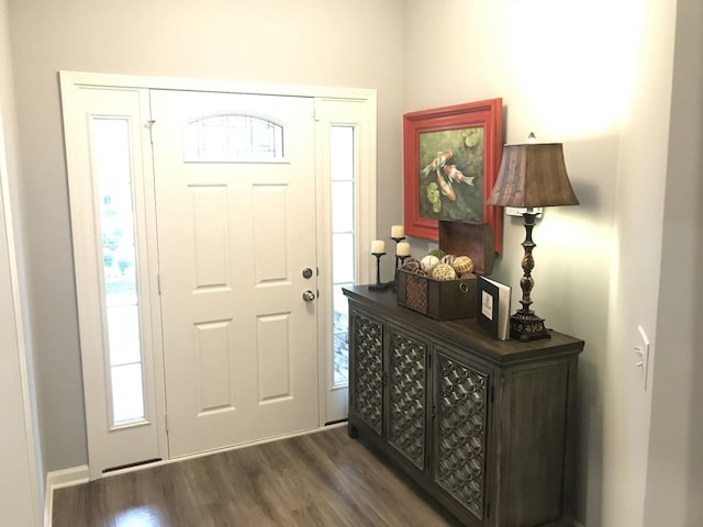 entrance foyer with dark wood-style flooring