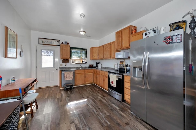 kitchen with sink, dark hardwood / wood-style flooring, and appliances with stainless steel finishes