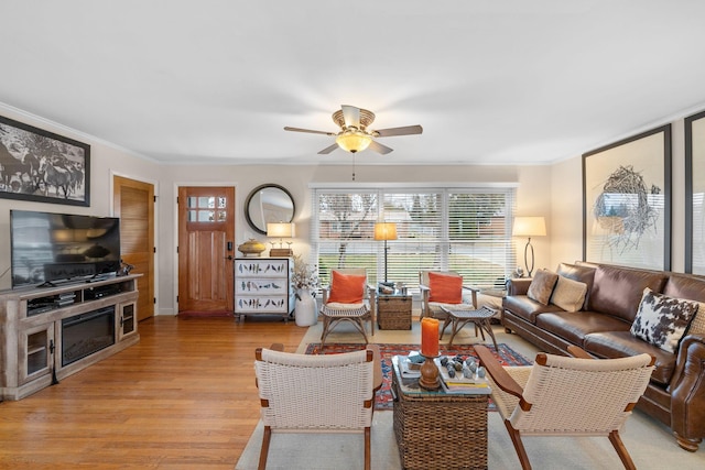 living room featuring ceiling fan, ornamental molding, and light wood-type flooring