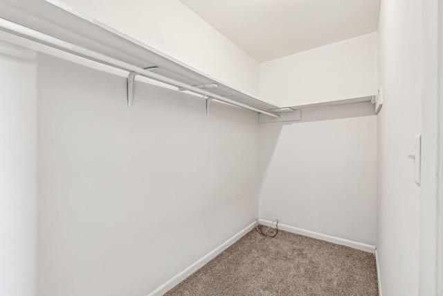 spacious closet with carpet