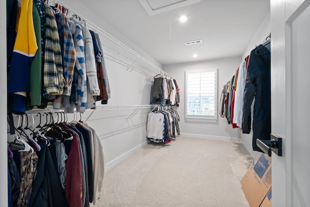 walk in closet with carpet