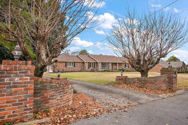 ranch-style house featuring a front yard