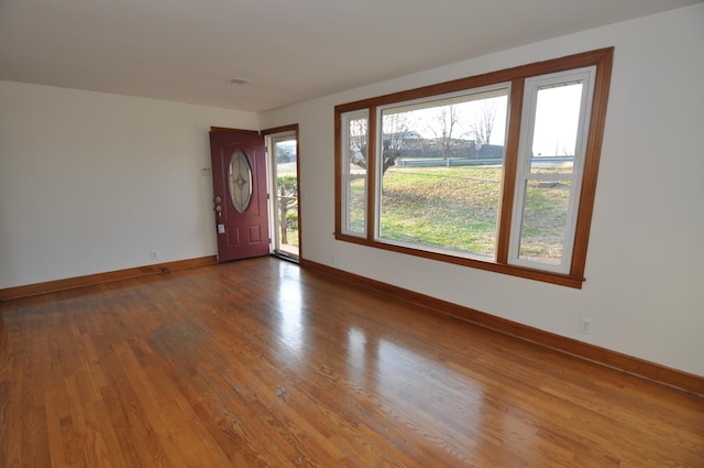 foyer with hardwood / wood-style flooring