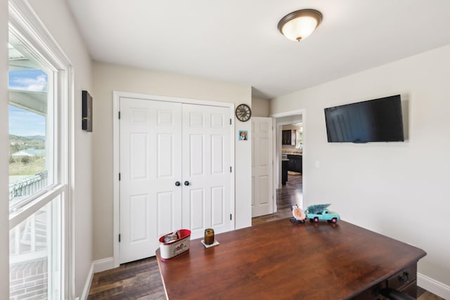 office featuring dark hardwood / wood-style floors