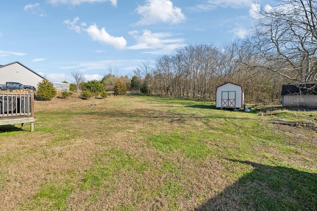 view of yard with a storage shed