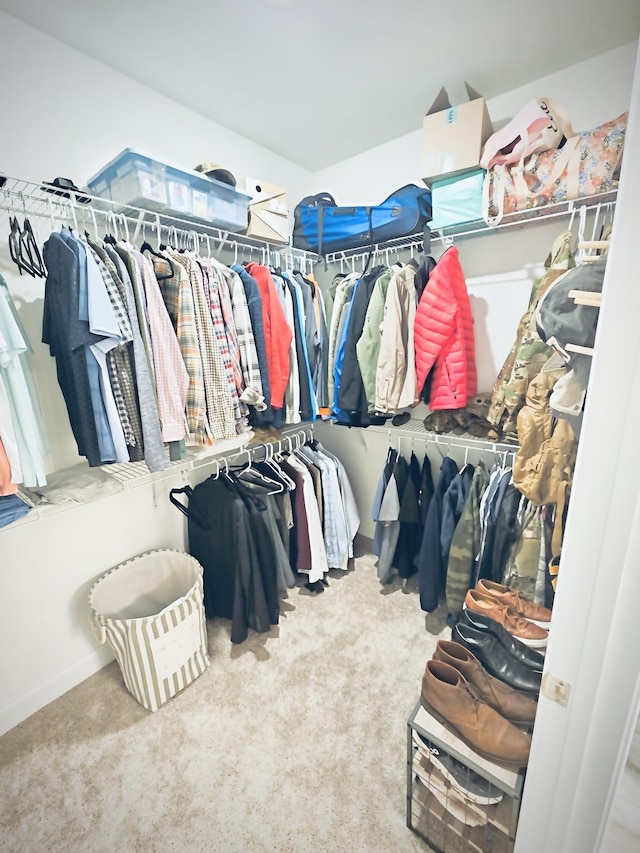 spacious closet with carpet