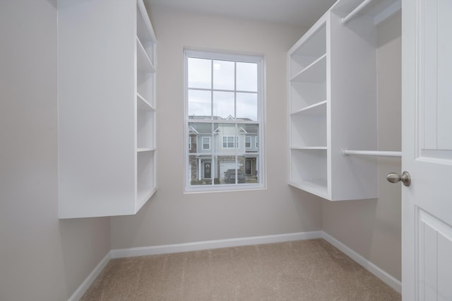 spacious closet with carpet