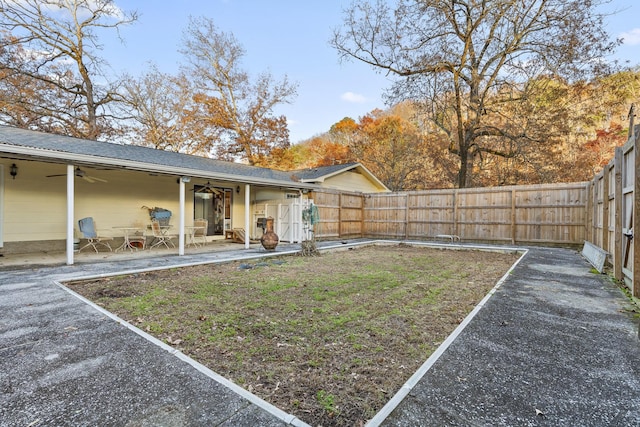 view of yard featuring a patio area and ceiling fan