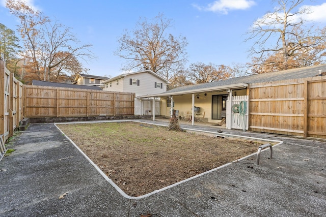 view of yard featuring a patio area