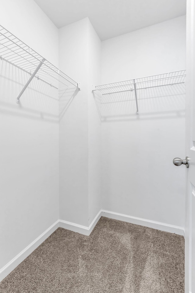 spacious closet with carpet