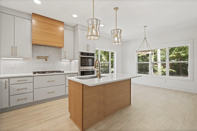 kitchen with light hardwood / wood-style floors, a healthy amount of sunlight, a kitchen island with sink, and stainless steel appliances