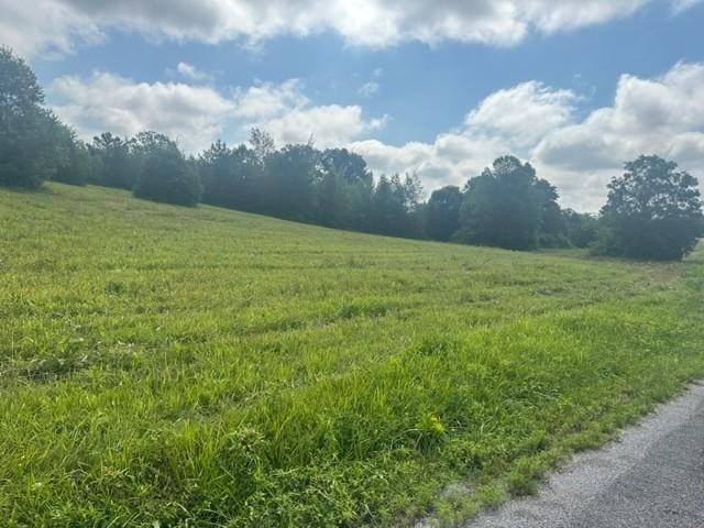 Listing photo 3 for 0 Dave O Ln, Loretto TN 38469