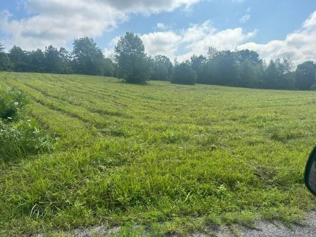 0 Dave O Ln, Loretto TN, 38469 land for sale