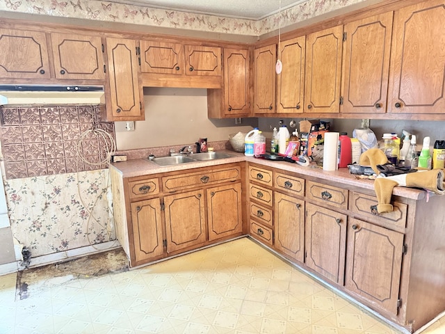 kitchen with sink