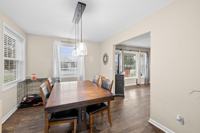 dining space featuring dark wood-type flooring