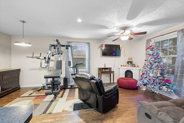 living room with wood-type flooring, a textured ceiling, and ceiling fan