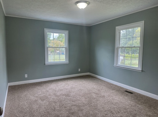 carpeted empty room featuring a healthy amount of sunlight, ornamental molding, and a textured ceiling