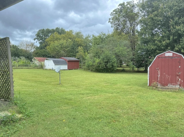 view of yard featuring a storage shed