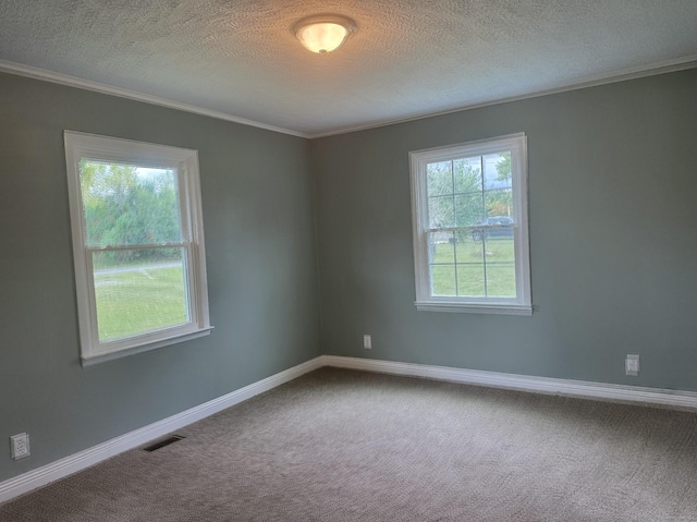 carpeted empty room with a textured ceiling, plenty of natural light, and ornamental molding