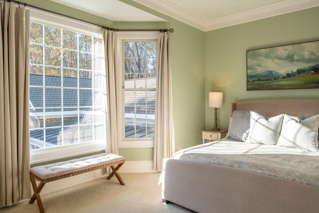 carpeted bedroom with crown molding