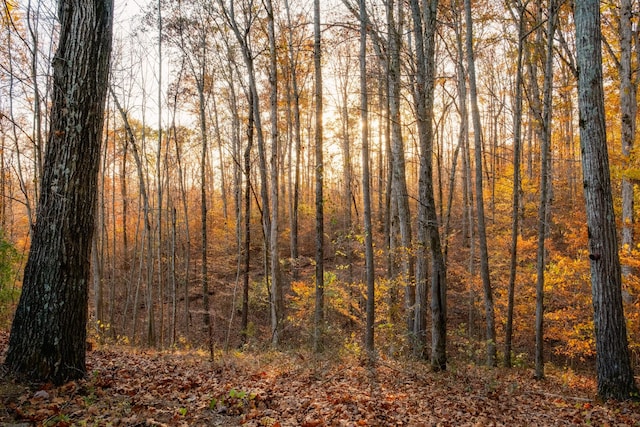 view of nature