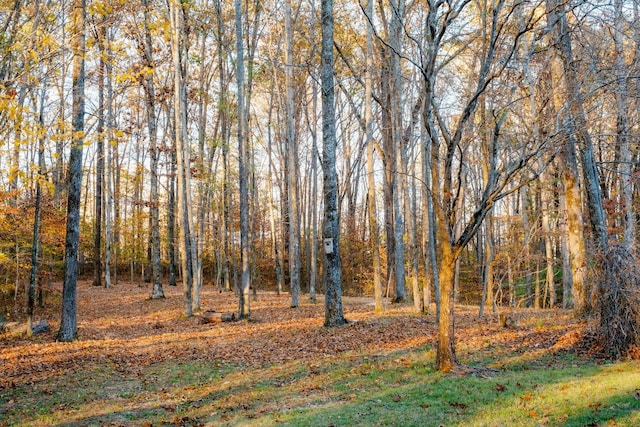 view of nature