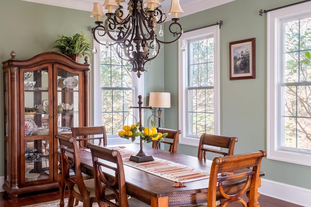 dining room with wood-type flooring, an inviting chandelier, a healthy amount of sunlight, and crown molding