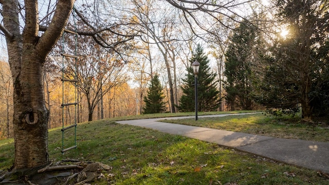 view of community with a yard