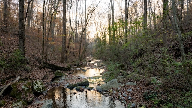 view of landscape