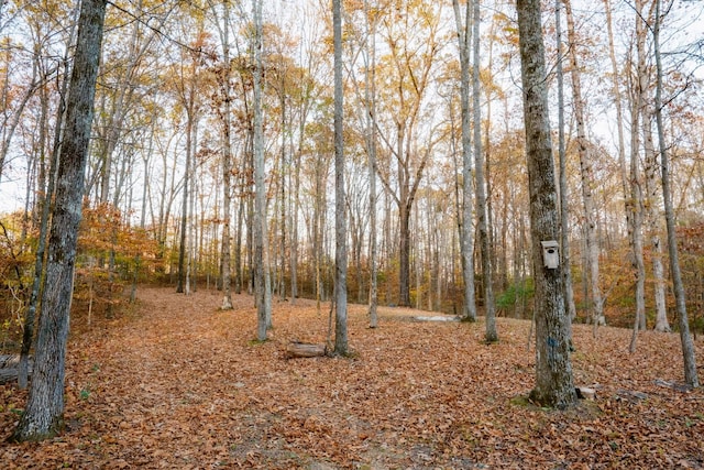 view of landscape