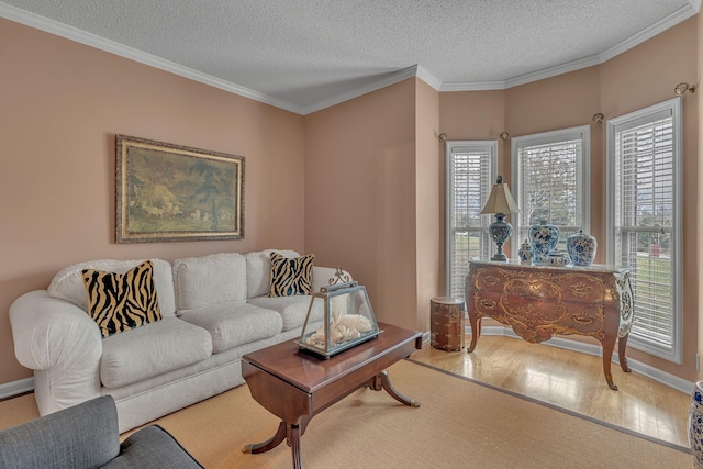 living room with ornamental molding, light hardwood / wood-style flooring, and a healthy amount of sunlight