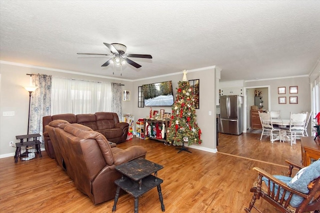 living room with hardwood / wood-style floors, crown molding, and a textured ceiling